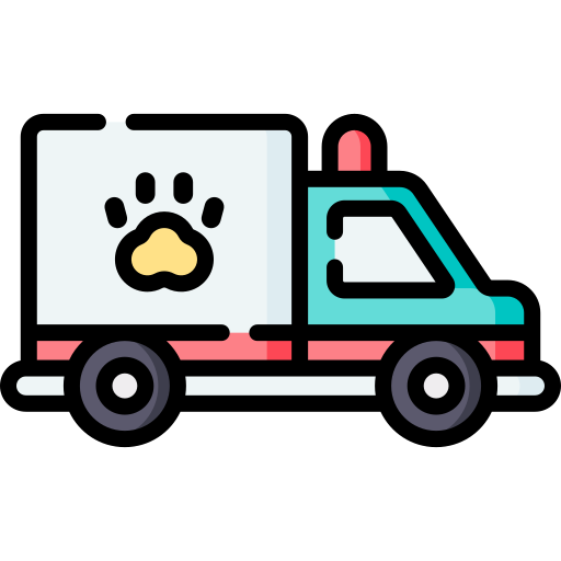 Emergencies Icon