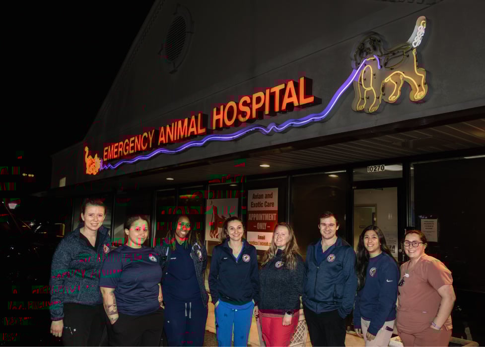 Group photo of the Emergency Animal Hospital of Ellicott City team